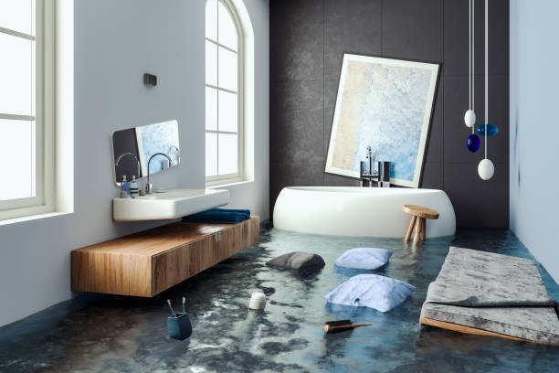 Best Flooded house restoration  in Affton, MO