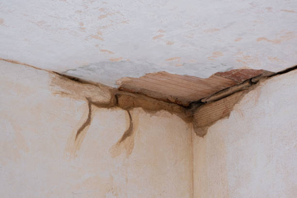 Best Water damage contractors near me  in Affton, MO